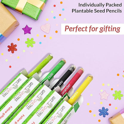 Plantable Seed Pencils | Pack of 15 Single Pencils